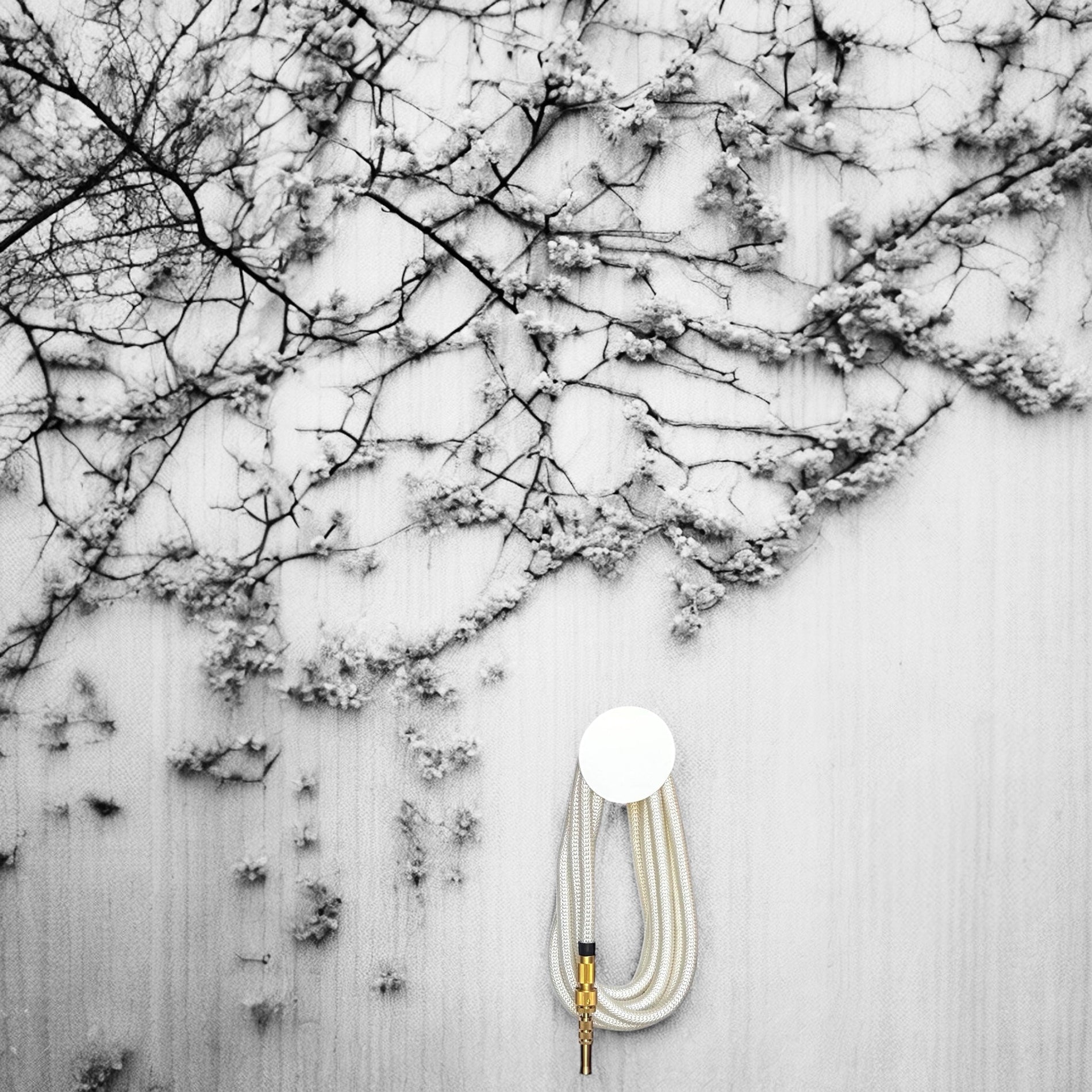 How to Choose the Right Hose for Your Garden