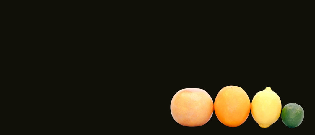 How to Protect Your Fruit and Veggies from Possums and Pests – The Natural Way