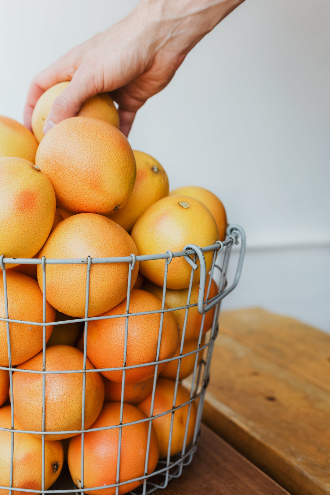 How to Protect Your Fruit and Veggies from Possums and Pests – The Natural Way