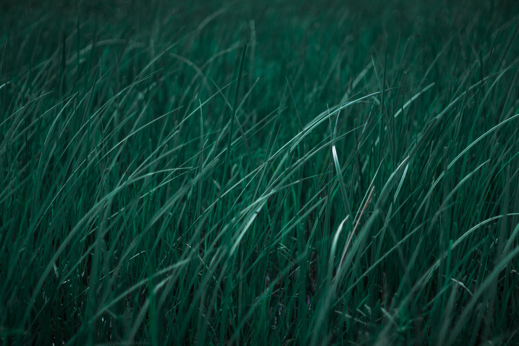 Best Garden Sprinklers in Australia (2026) – Complete Lawn Watering Guide