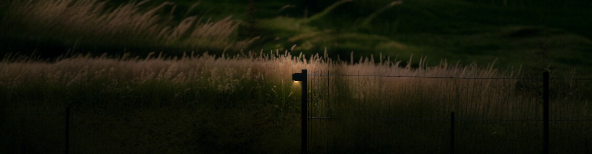 Garden Lighting