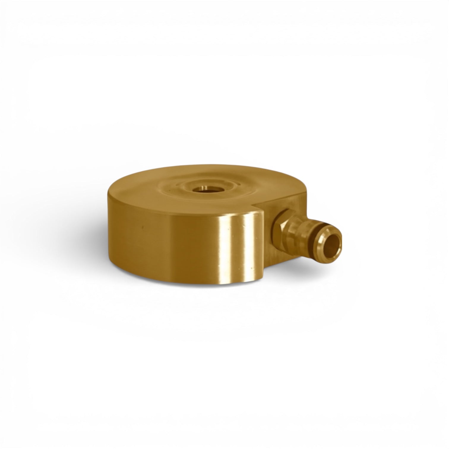 Spit Sprinkler in Brass