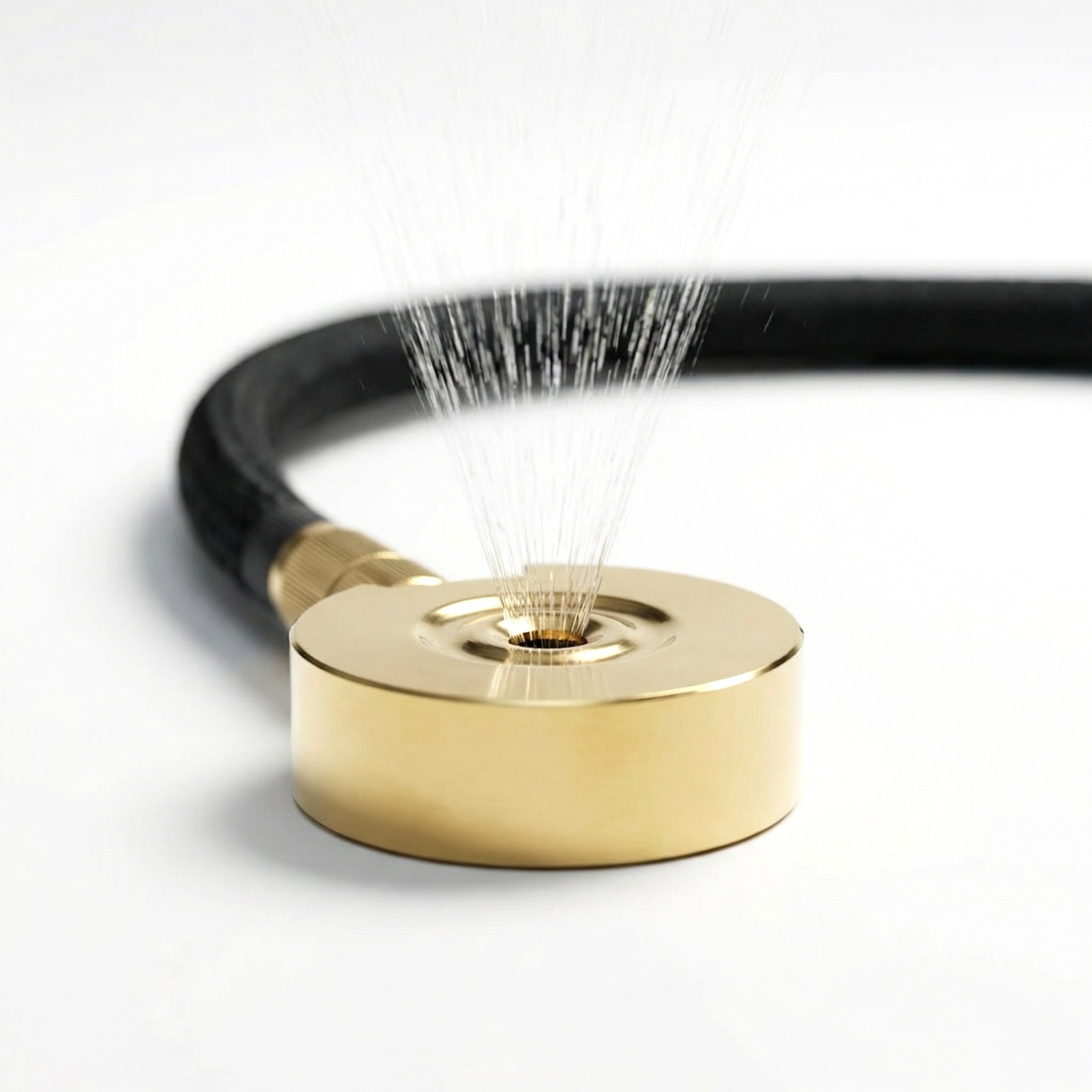 Spit Sprinkler in Brass