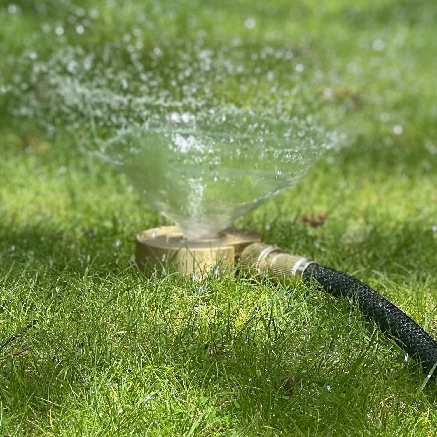Spit Sprinkler in Brass PRE ORDER DUE DECEMBER