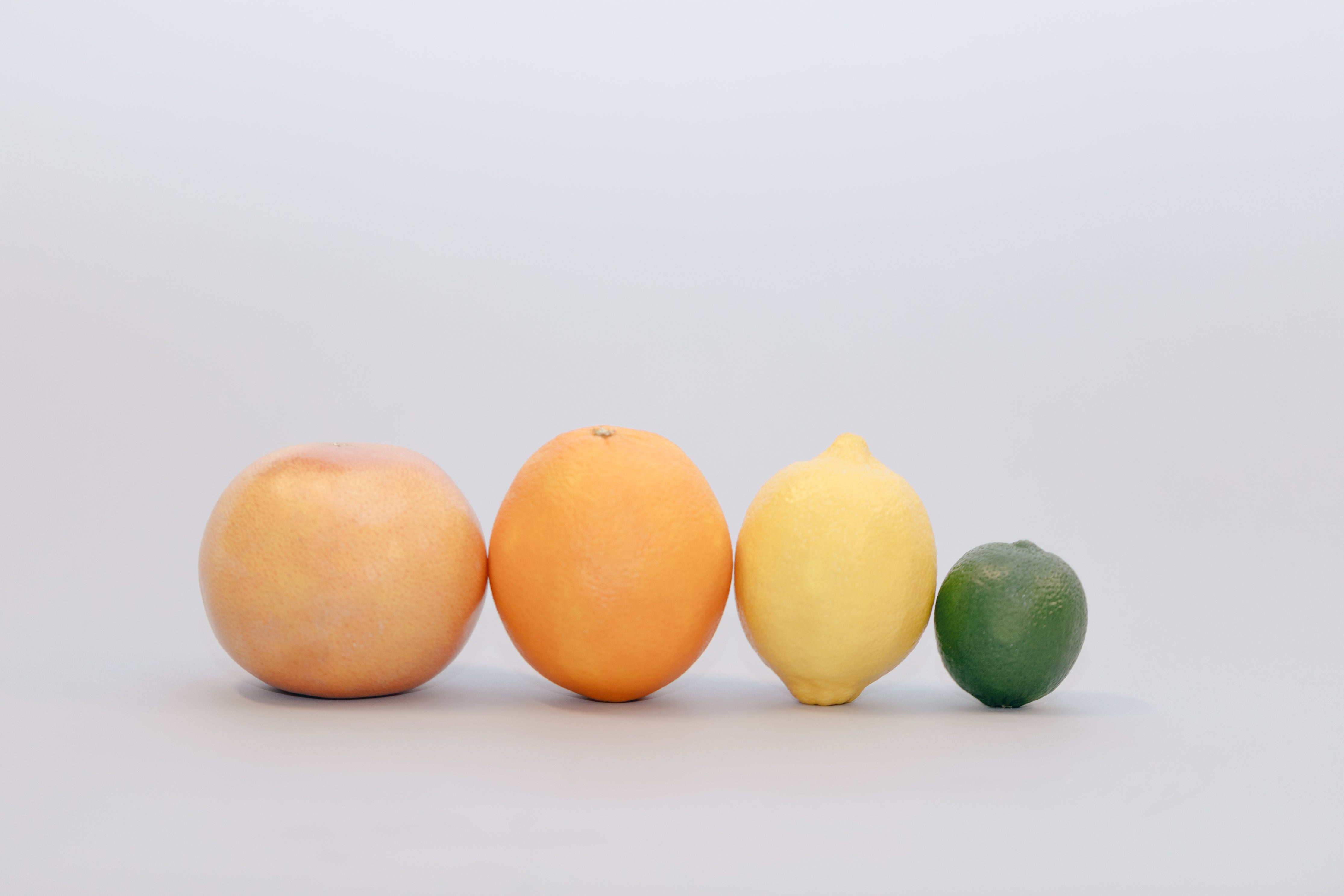Fruit  Exclusion Protection Bags